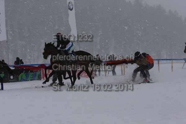 ET0Q1232 prot